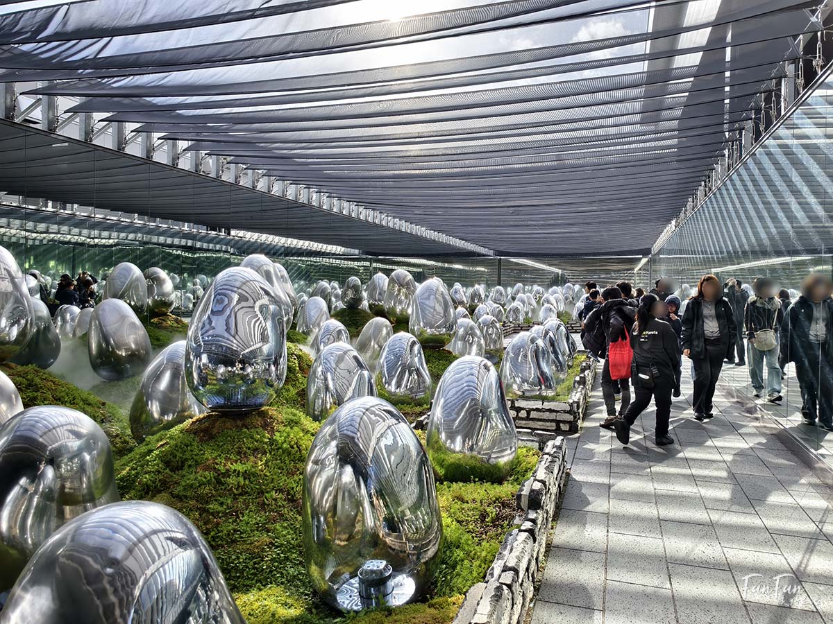 東京必去打卡景點!豐洲TeamLab Planets TOKYO DMM展覽參觀攻略!東京最夢幻的沈浸式互動藝術展覽 - 第25張圖 東京必去打卡景點!豐洲TeamLab Planets TOKYO DMM展覽參觀攻略!東京最夢幻的沈浸式互動藝術展覽