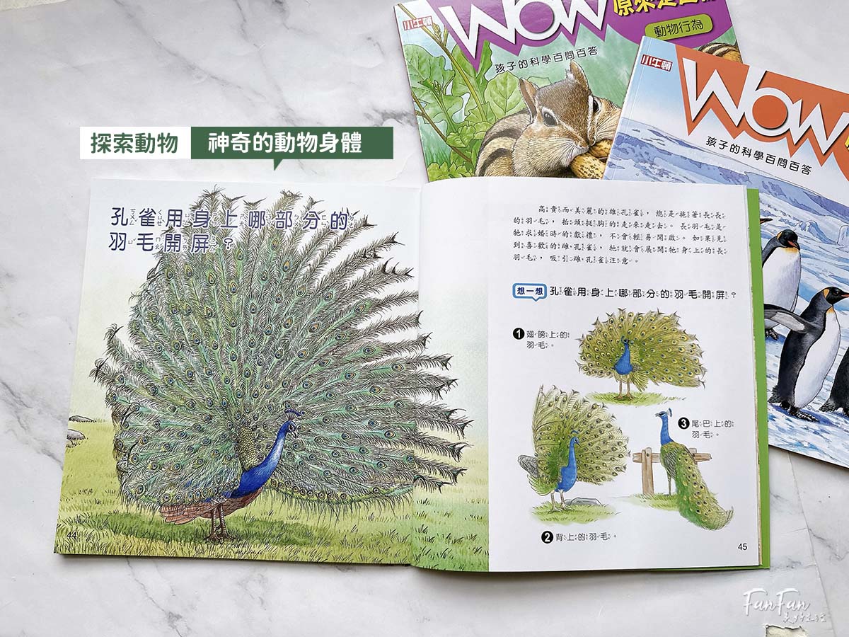 小牛頓科普書｜WOW原來是這樣、漫畫成語百科、逗逗鎮幼兒氣象繪本：身邊的天氣