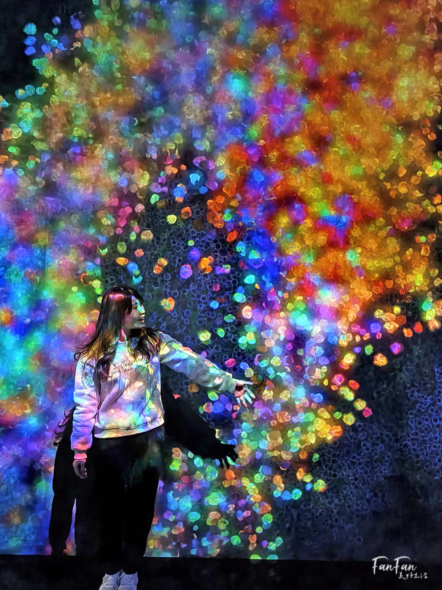 東京必去打卡景點!豐洲TeamLab Planets TOKYO DMM展覽參觀攻略!東京最夢幻的沈浸式互動藝術展覽 - 第29張圖 東京必去打卡景點!豐洲TeamLab Planets TOKYO DMM展覽參觀攻略!東京最夢幻的沈浸式互動藝術展覽