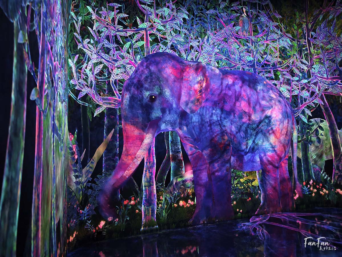 東京必去打卡景點!豐洲TeamLab Planets TOKYO DMM展覽參觀攻略!東京最夢幻的沈浸式互動藝術展覽 - 第48張圖 東京必去打卡景點!豐洲TeamLab Planets TOKYO DMM展覽參觀攻略!東京最夢幻的沈浸式互動藝術展覽