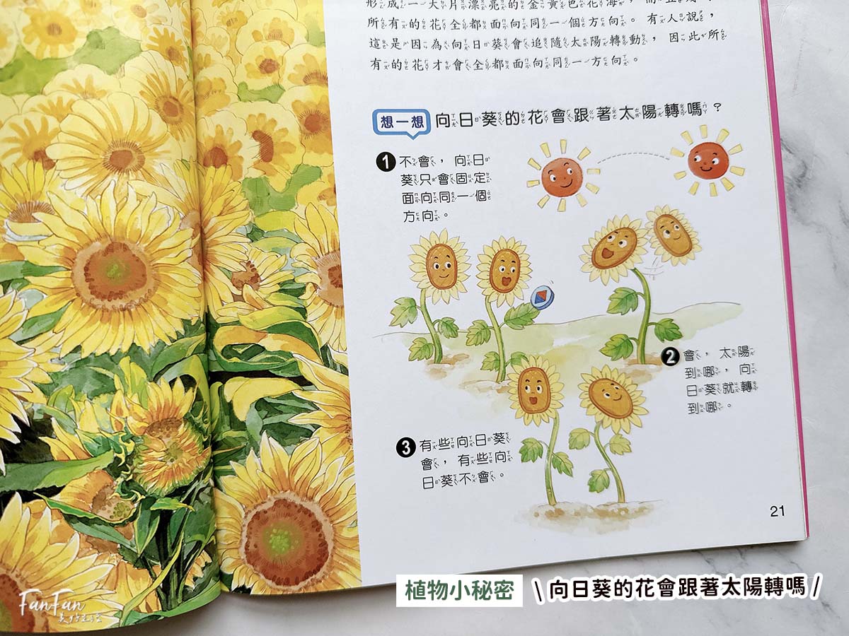 小牛頓科普書｜WOW原來是這樣、漫畫成語百科、逗逗鎮幼兒氣象繪本：身邊的天氣