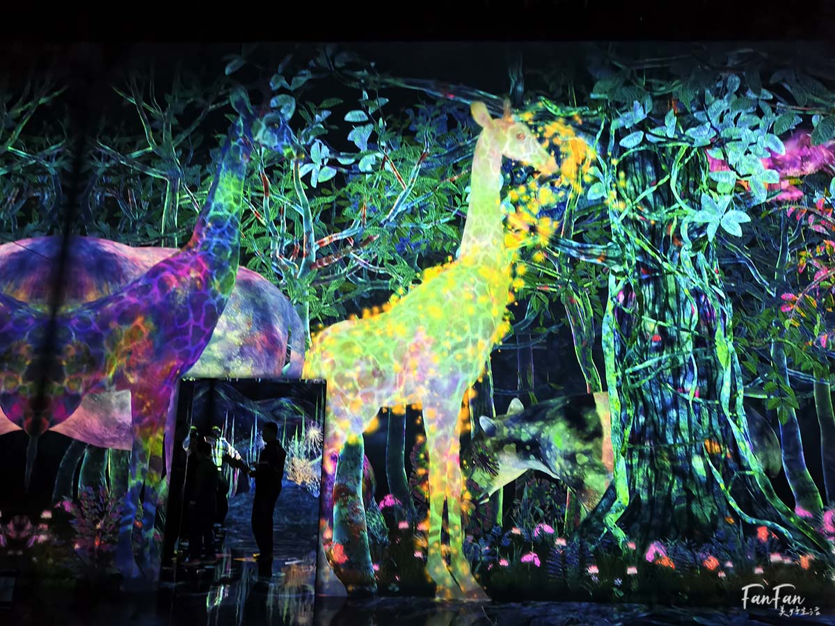 東京必去打卡景點!豐洲TeamLab Planets TOKYO DMM展覽參觀攻略!東京最夢幻的沈浸式互動藝術展覽 - 第51張圖 東京必去打卡景點!豐洲TeamLab Planets TOKYO DMM展覽參觀攻略!東京最夢幻的沈浸式互動藝術展覽