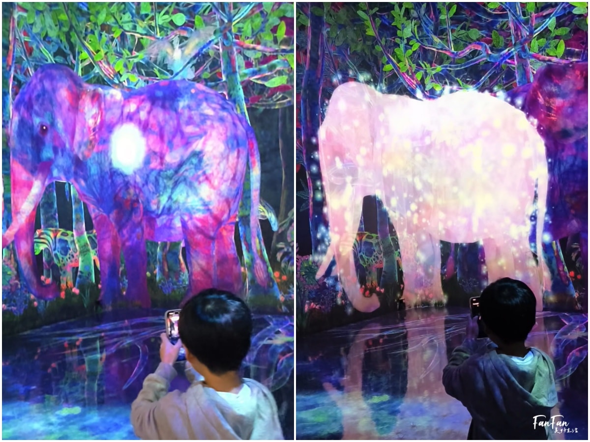 東京必去打卡景點!豐洲TeamLab Planets TOKYO DMM展覽參觀攻略!東京最夢幻的沈浸式互動藝術展覽 - 第49張圖 東京必去打卡景點!豐洲TeamLab Planets TOKYO DMM展覽參觀攻略!東京最夢幻的沈浸式互動藝術展覽