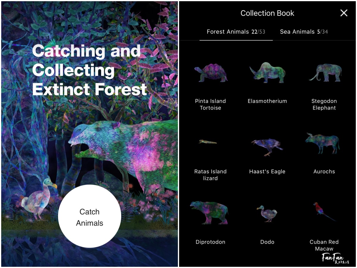 東京必去打卡景點!豐洲TeamLab Planets TOKYO DMM展覽參觀攻略!東京最夢幻的沈浸式互動藝術展覽 - 第55張圖 東京必去打卡景點!豐洲TeamLab Planets TOKYO DMM展覽參觀攻略!東京最夢幻的沈浸式互動藝術展覽