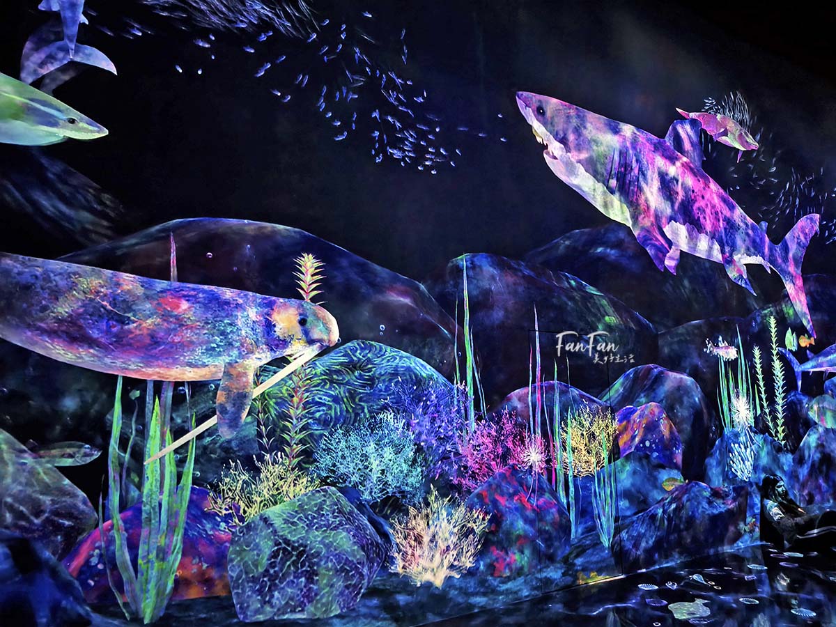 東京必去打卡景點!豐洲TeamLab Planets TOKYO DMM展覽參觀攻略!東京最夢幻的沈浸式互動藝術展覽 - 第52張圖 東京必去打卡景點!豐洲TeamLab Planets TOKYO DMM展覽參觀攻略!東京最夢幻的沈浸式互動藝術展覽