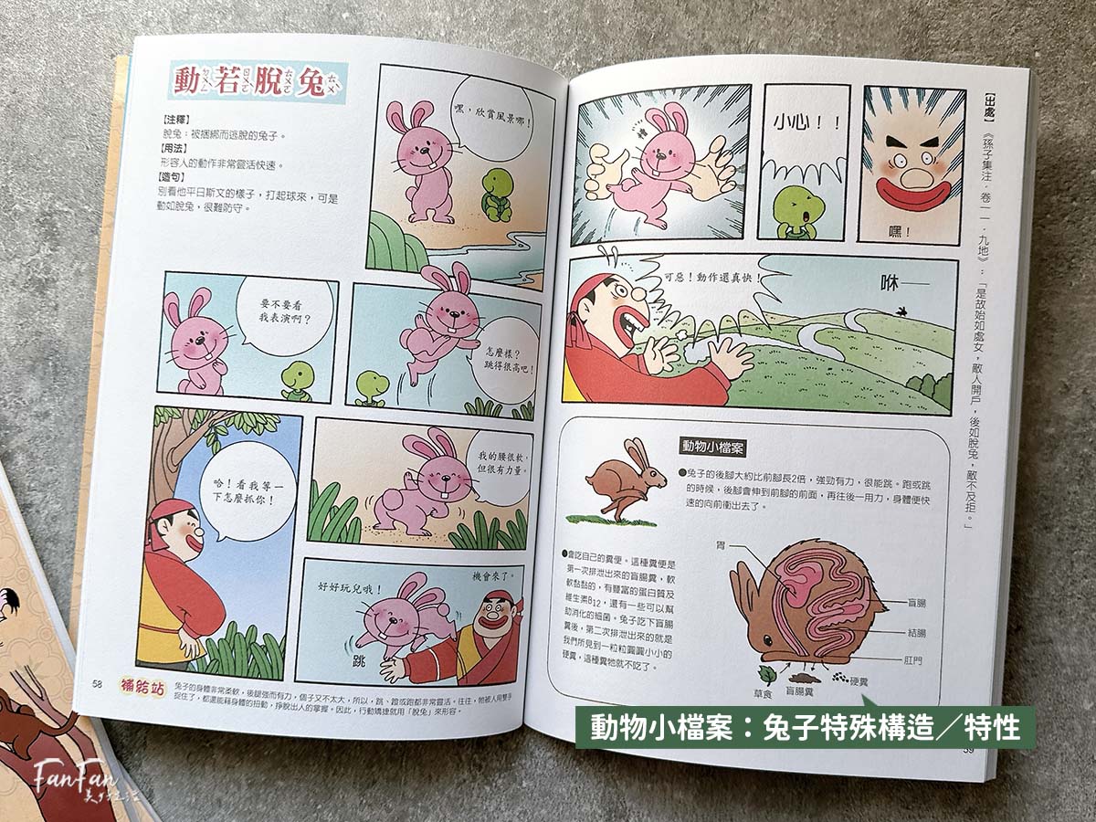 小牛頓科普書｜WOW原來是這樣、漫畫成語百科、逗逗鎮幼兒氣象繪本：身邊的天氣