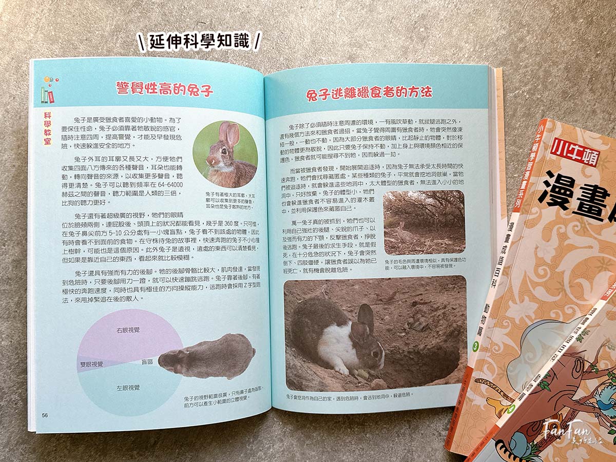 小牛頓科普書｜WOW原來是這樣、漫畫成語百科、逗逗鎮幼兒氣象繪本：身邊的天氣