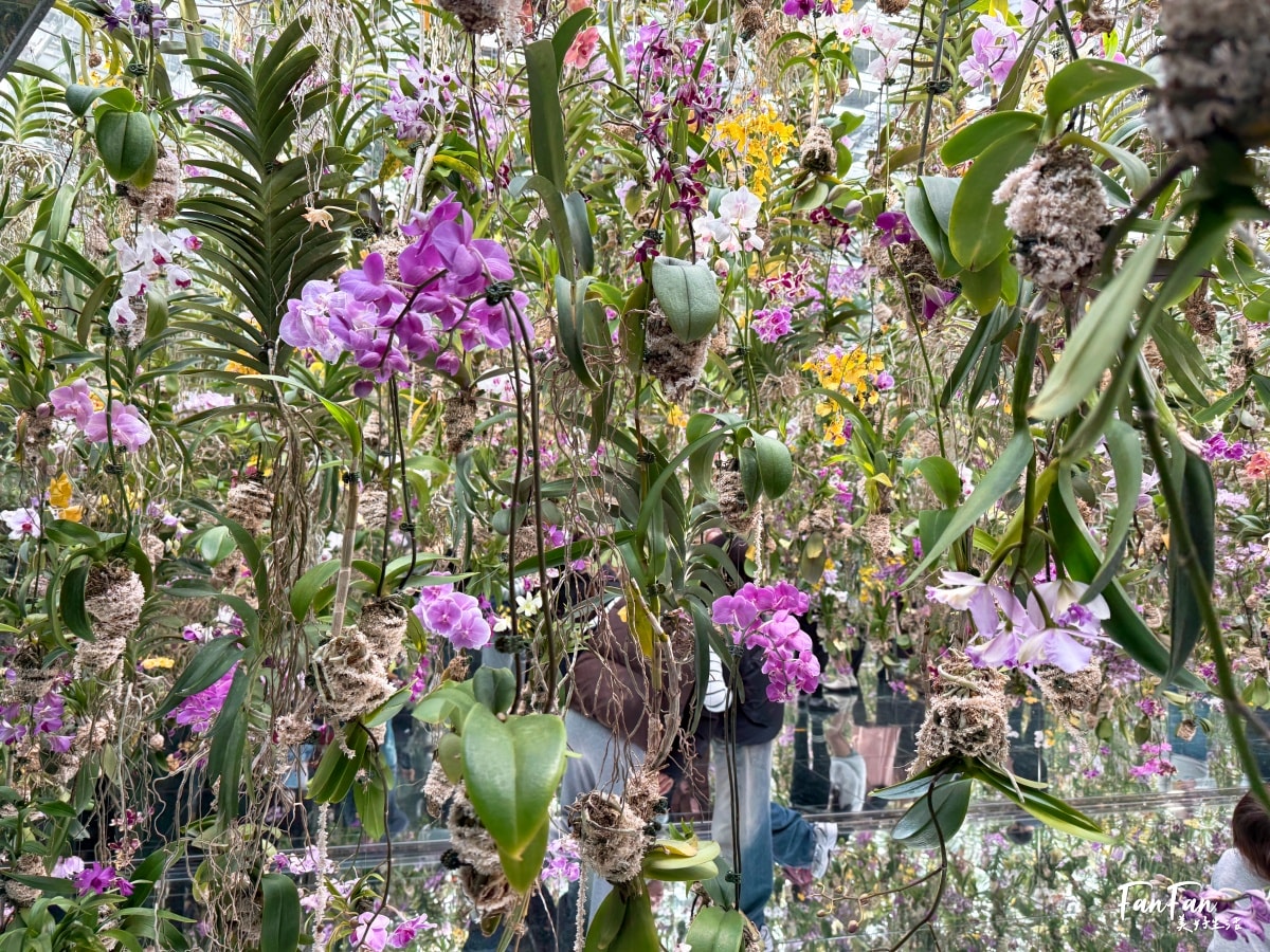 東京必去打卡景點!豐洲TeamLab Planets TOKYO DMM展覽參觀攻略!東京最夢幻的沈浸式互動藝術展覽 - 第21張圖 東京必去打卡景點!豐洲TeamLab Planets TOKYO DMM展覽參觀攻略!東京最夢幻的沈浸式互動藝術展覽